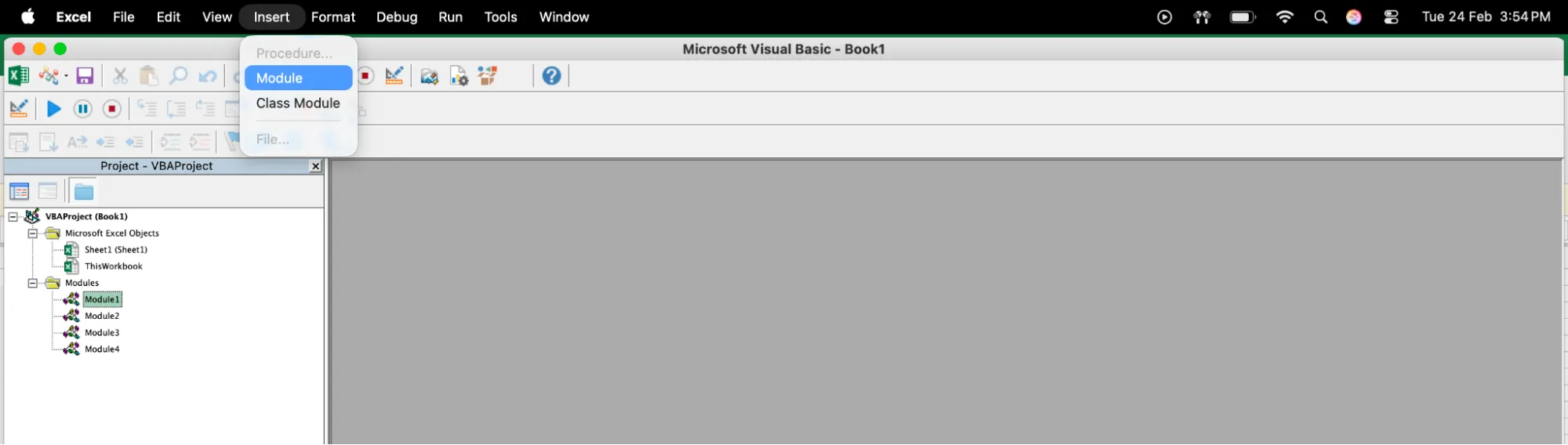 Insert module in VBA editor